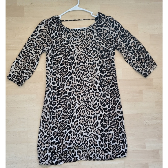 Leopard Print Dress - Picture 1 of 6